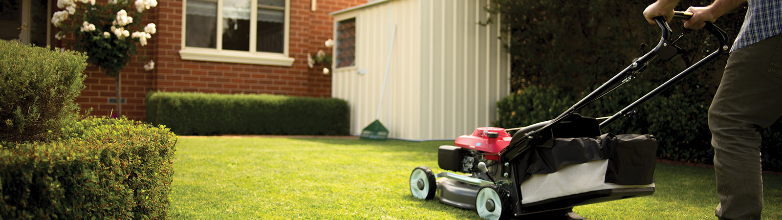 5 Tips on Purchasing a Garden Shed