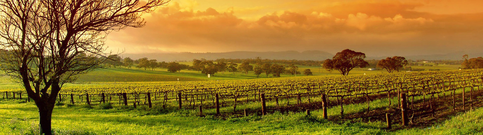 Before Submitting a Development Application in the Hunter Valley