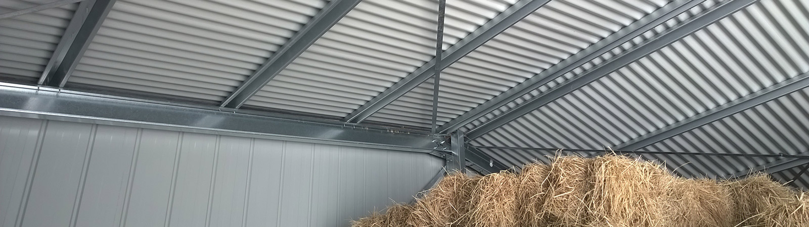 BlueScope Steel and your Shed