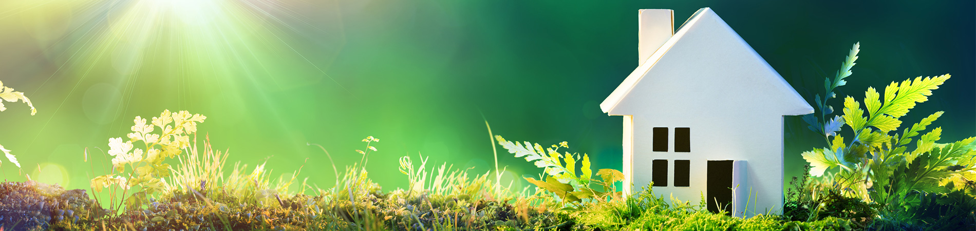 Eco Friendly Home Banner v3