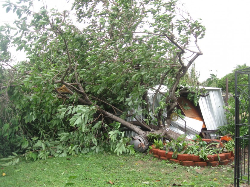 cyclone Shed damage